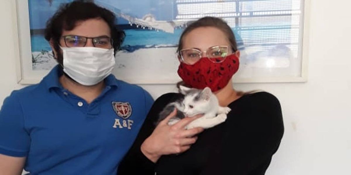 Pandemia aumenta abandono de animais, mas também adoção de pets