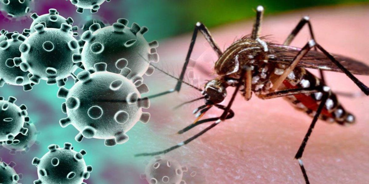 Paraná confirma laboratorialmente primeiro caso de co-detecção de Covid-19 e Dengue