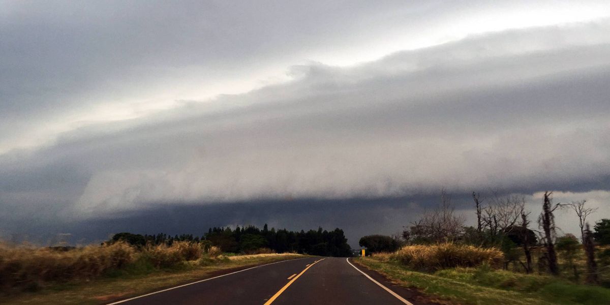 Programa Sinais da Natureza avança na prevenção e mitigação das mudanças climáticas