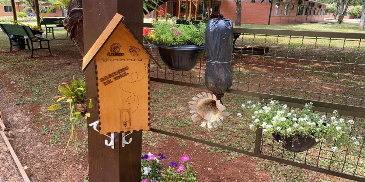 Agrotec abre lista de espera para curso de Meliponicultura: abelha sem ferrão