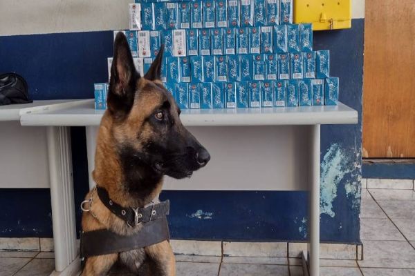 BPFRON apreende contrabando em ônibus durante Operação Hórus na cidade de Cascavel