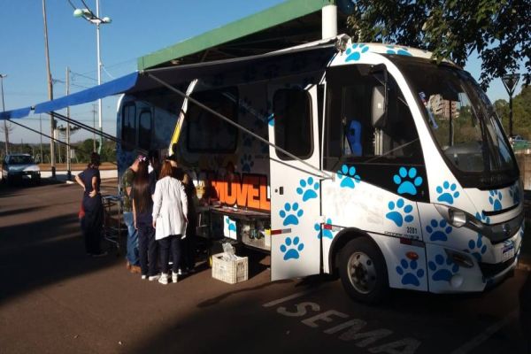 Mais de 1200 atendimentos a cães e gatos já receberam procedimento de esterilização em Cascavel