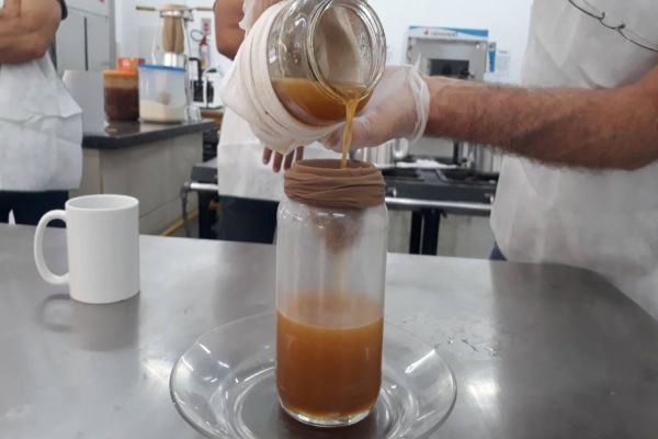 Abelha sem ferrão: Produtores rurais concluem treinamento de meliponicultura