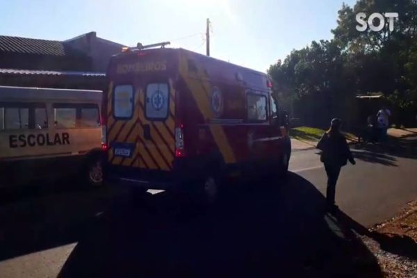 Imagem referente a notícia: Idosa é atacada por cachorros no Bairro Períolo