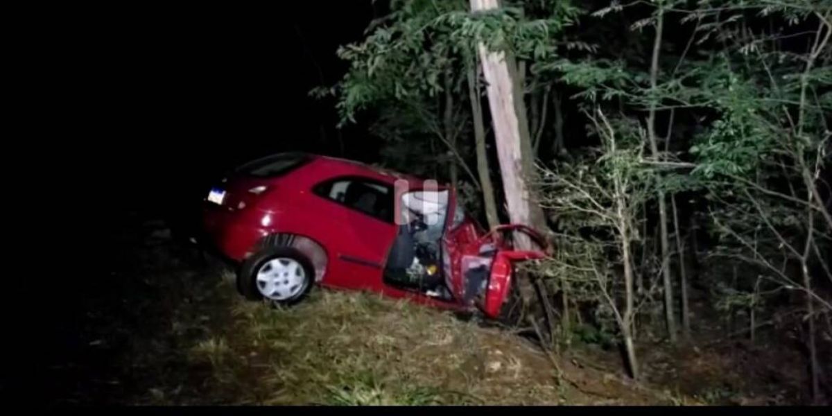 Homem morre após perder controle de veículo, sair da pista e bater contra árvore na PR-281
