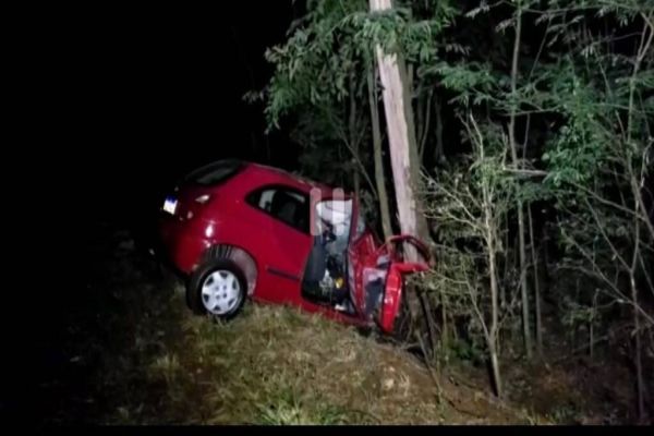 Homem morre após perder controle de veículo, sair da pista e bater contra árvore na PR-281