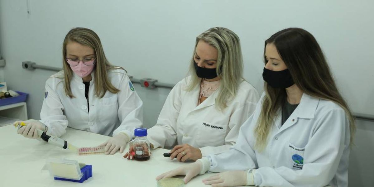 Pesquisa da Unioeste busca bioativos naturais contra bactérias, fungos e vírus