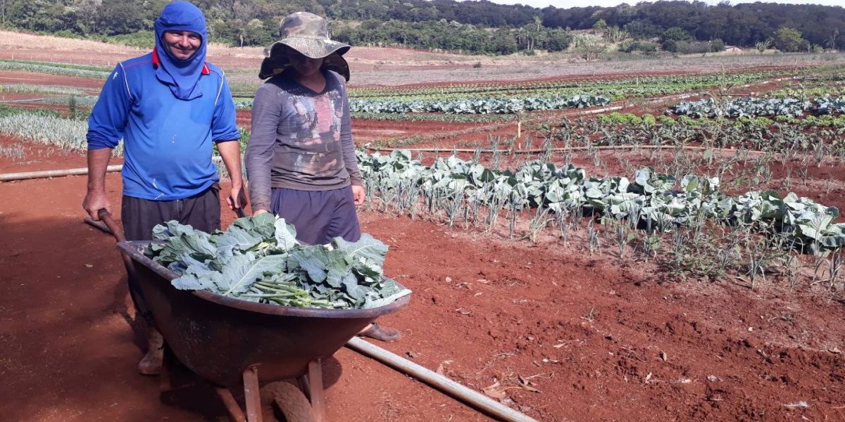 Produtores Orgânicos passam por vistoria para obtenção de certificação