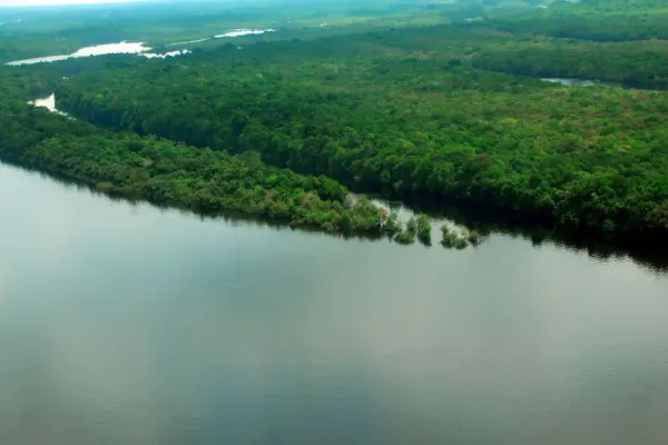 Foto relacionada a notícia: Caixa vai repassar R$ 150 milhões para preservação de florestas