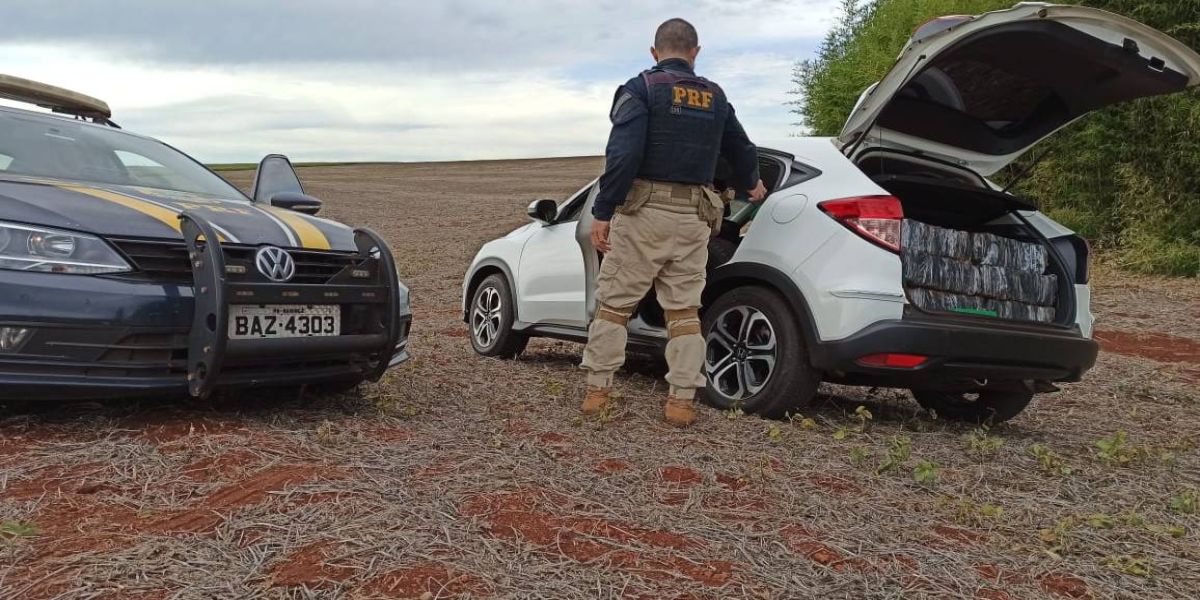 PRF apreende 584 kg de maconha transportados em veiculo roubado em Vera Cruz D'Oeste