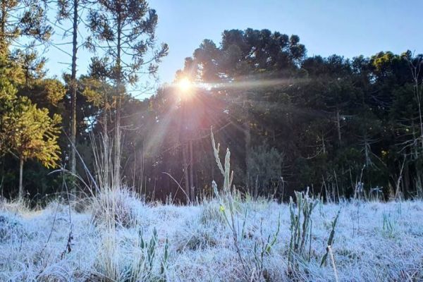 Próximo final de semana será de temperaturas baixas em Cascavel; Termômetros podem marcar 4°C