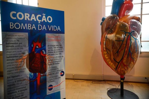 Doença cardiovascular é principal causa de morte de mulheres no mundo