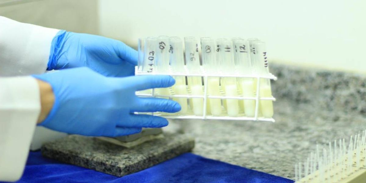 Dia da doação de leite humano: “É um ato de solidariedade”