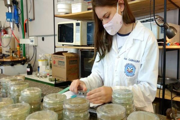 Paranaense ganha prêmio em Feira Internacional de Ciências por redução de fungos em bananeiras