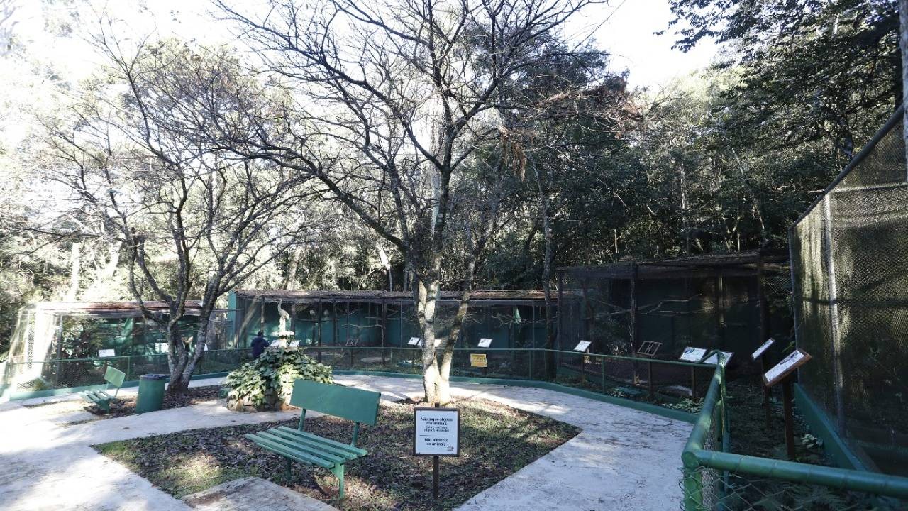 Com regras sanitárias, zoológico é reaberto ao público
