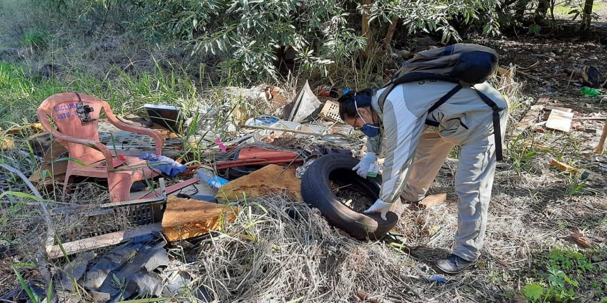 Vigilância de Saúde Ambiental de Cascavel reforça cuidados sobre a dengue