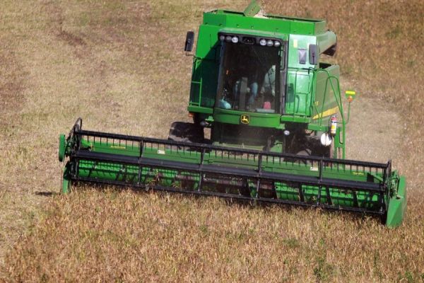 Paraná deve produzir 38,6 milhões de toneladas de grãos na safra 2020/21