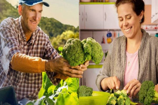 Governo do Estado investe em projetos voltados para a segurança alimentar dos paranaenses