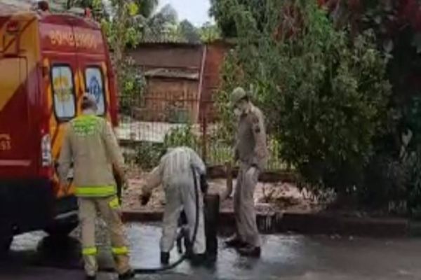 Idoso morre após sofrer ataques de abelhas por dois dias seguidos em Paranavaí