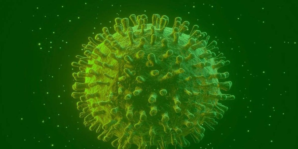 Covid-19: estudo diz que infectados podem gerar anticorpos permanentes