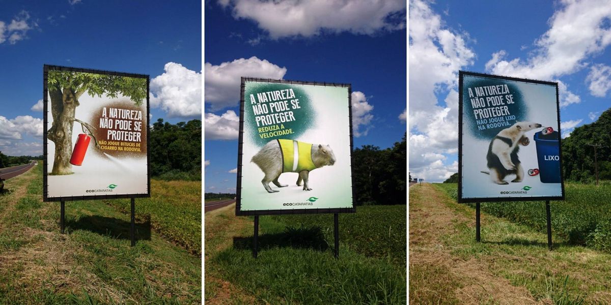 Ecocataratas e Parque Nacional do Iguaçu levam educação ambiental a 22 mil pessoas