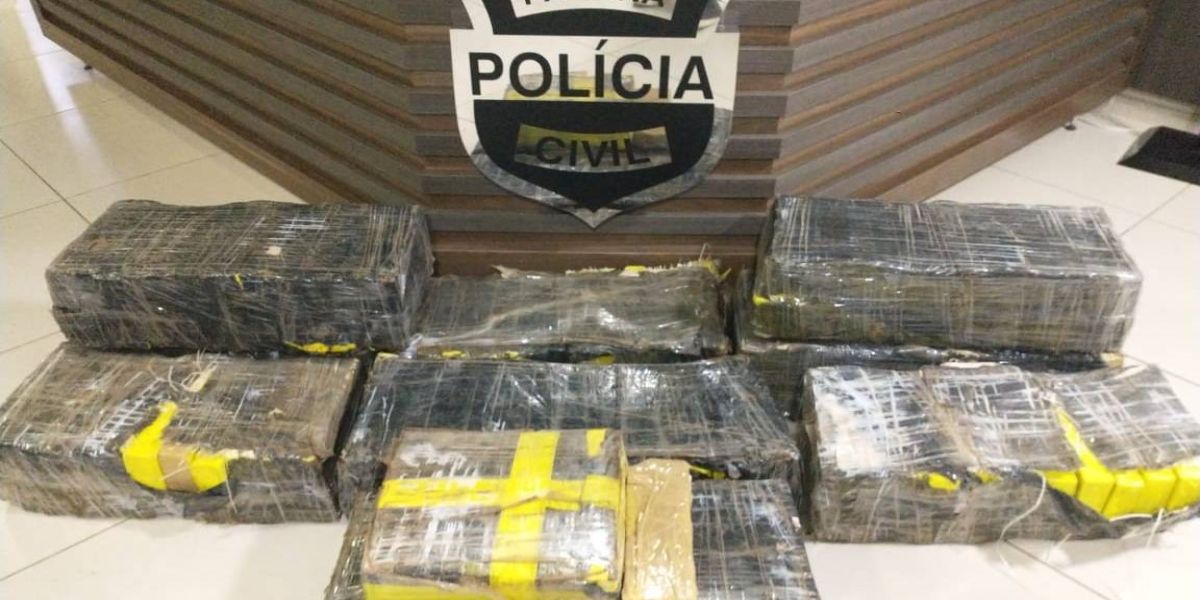 Integração entre forças de segurança pública resulta na apreensão de 167 quilos de maconha na BR-163