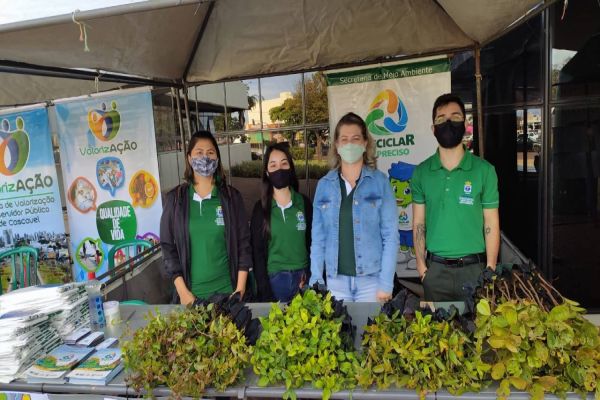 Semana Mundial do Meio Ambiente: Orientações, mudas Frutíferas são oferecidas em frente à Prefeitura