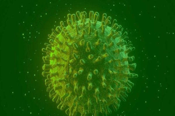 Covid-19: estudo diz que infectados podem gerar anticorpos permanentes