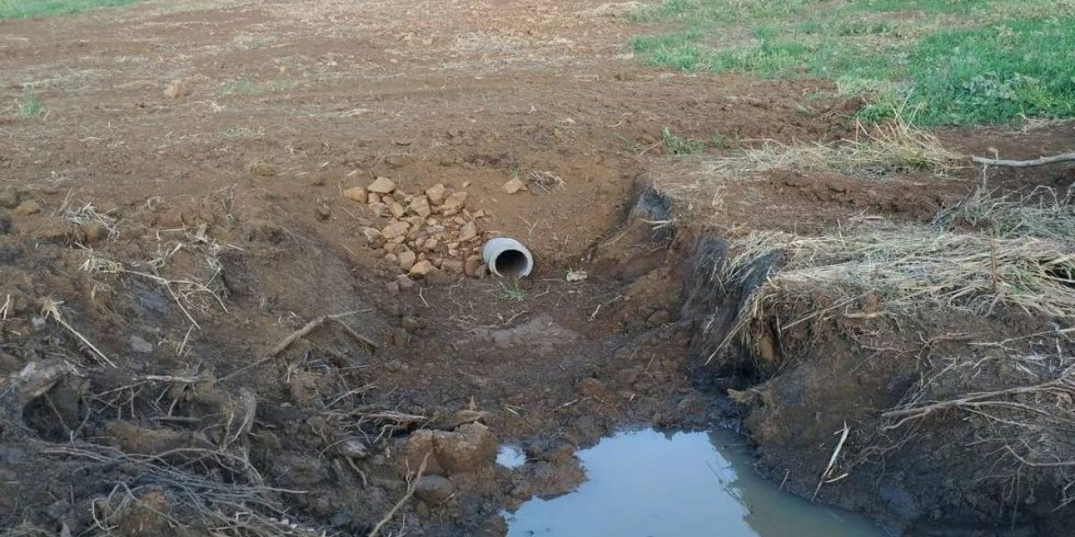 Agricultor é multado em R$ 90 mil por destruir 10 nascentes de água em Marmeleiro, diz polícia