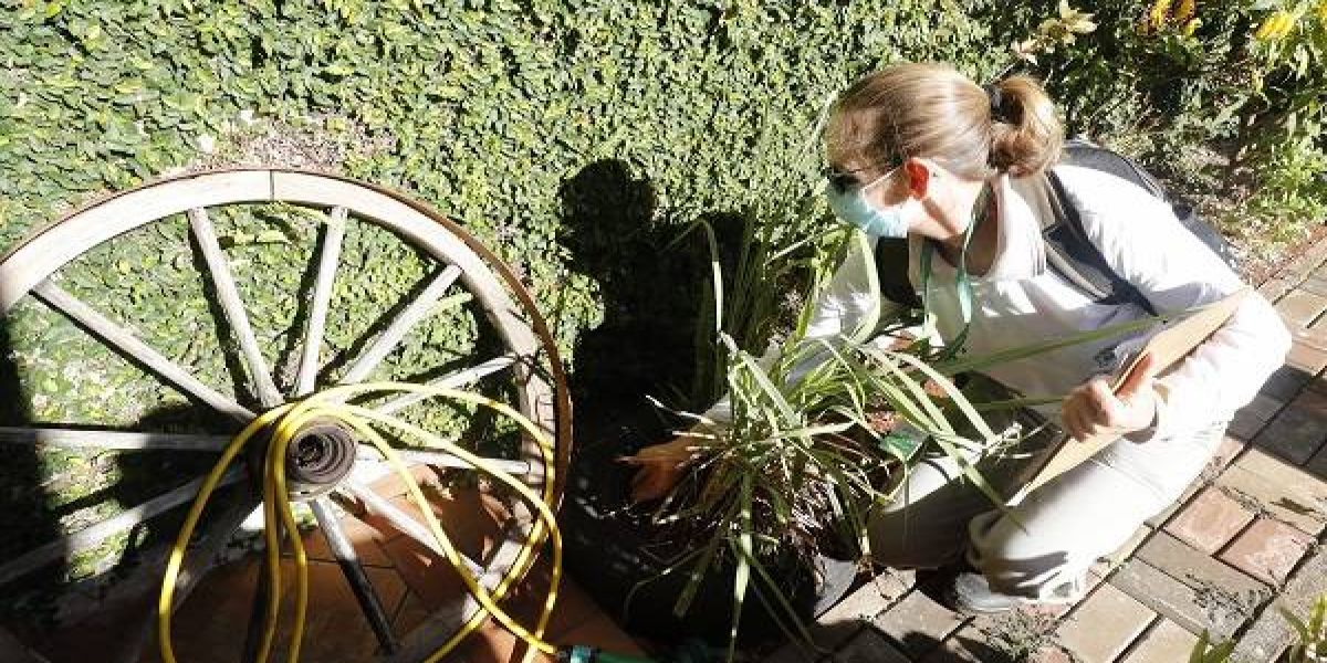 Saúde inicia 3º levantamento do LIRAa na segunda-feira