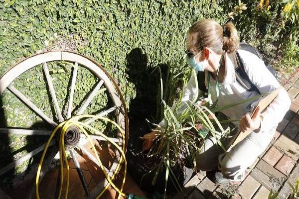 Saúde inicia 3º levantamento do LIRAa na segunda-feira