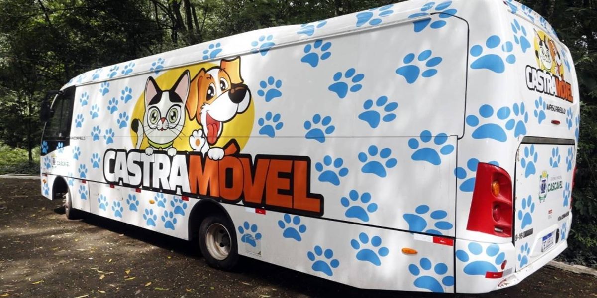 Castramóvel encerra cirurgias no Riviera com cerca de 100 castrações em cães e gatos