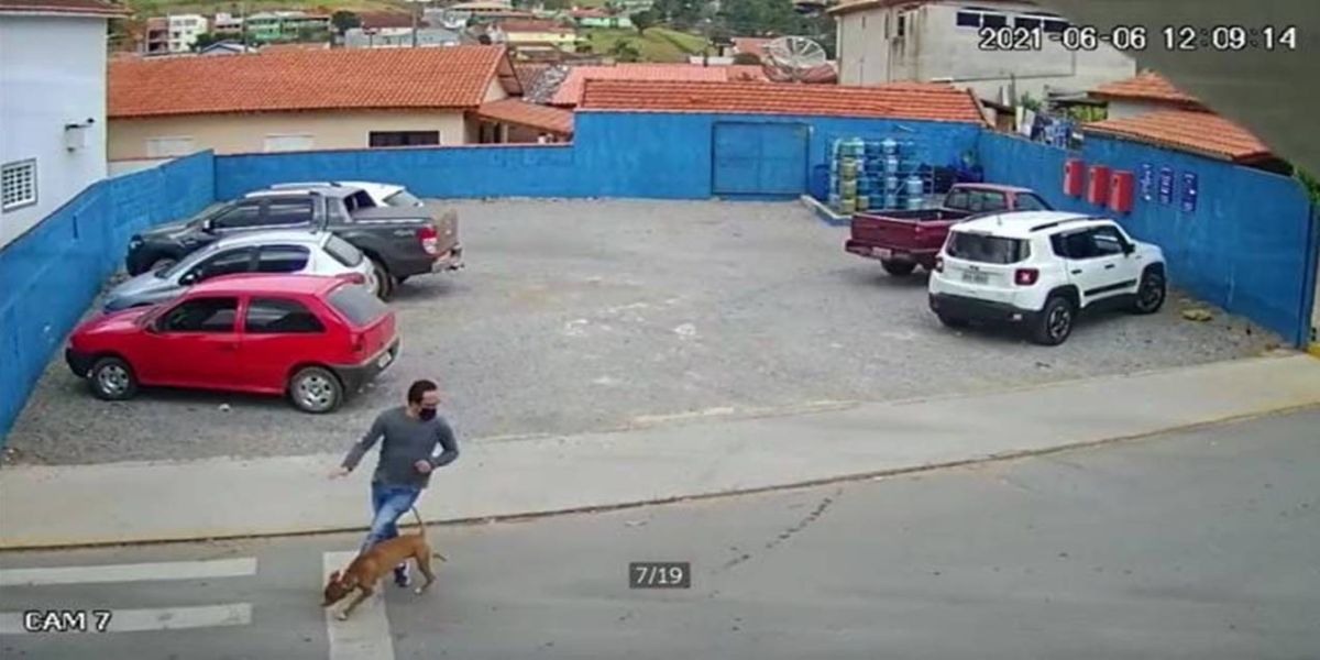 Viralizou: Cachorro Caramelo correndo em rua 'atropela' homem; veja