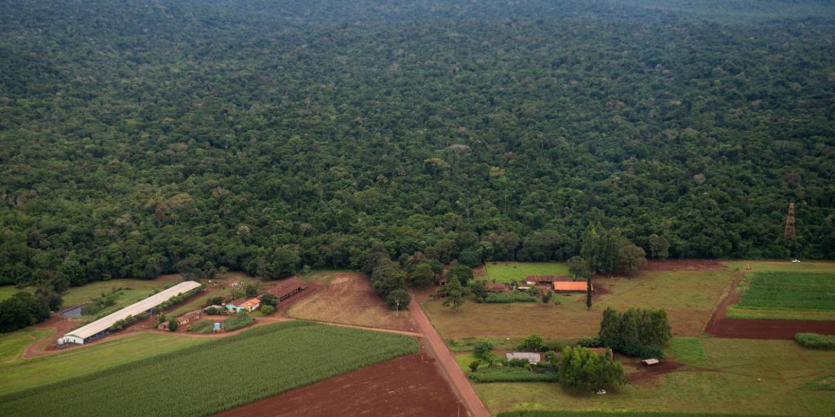 Câmara aprova urgência para criação da Estrada do Colono no Parque Nacional do Iguaçu
