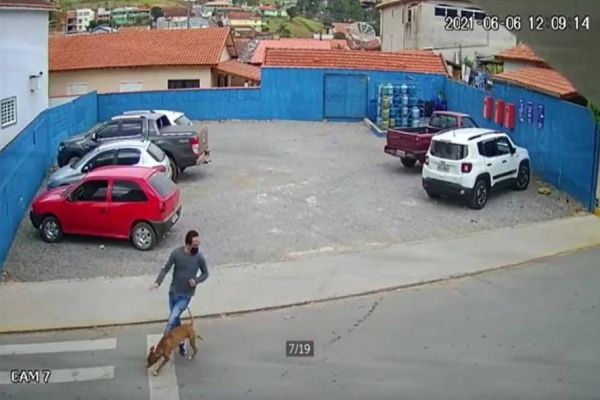 Imagem referente a notícia: Viralizou: Cachorro Caramelo correndo em rua 'atropela' homem; veja