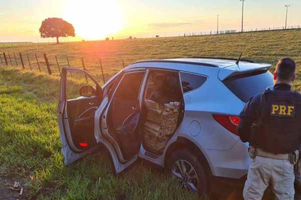 Imagem referente a notícia: PRF apreende mais de 1,3 tonelada de maconha no Paraná
