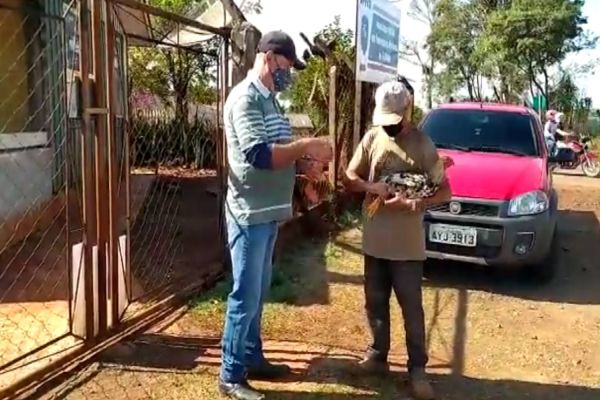 Imagem referente a notícia: Galo apreendido por perturbação de sossego é devolvido ao dono; Vídeo