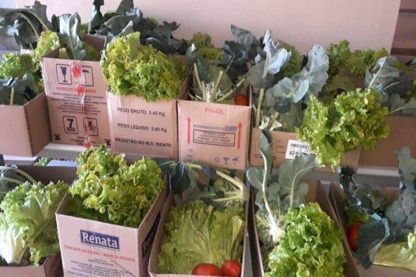 Estado já entregou mais de R$ 40 milhões em alimentos às famílias de alunos