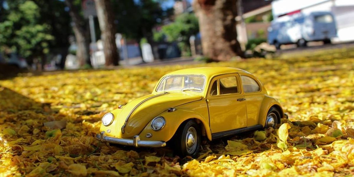 Exposição de Artes Individuais é aberta no MAC