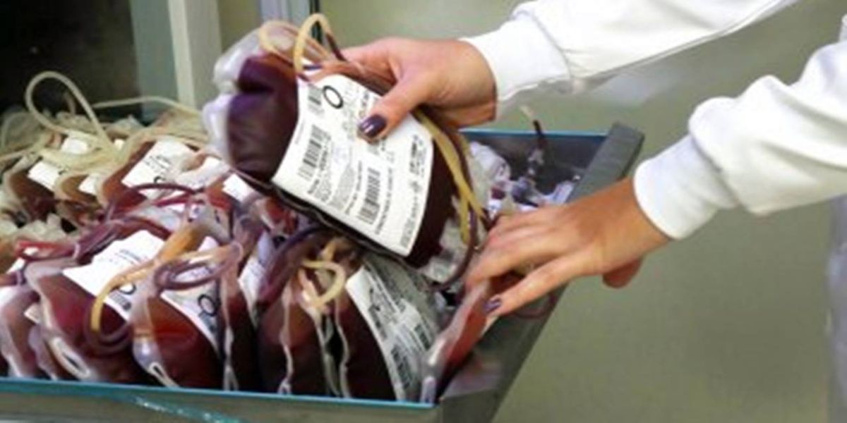 Junho Vermelho: doação de sangue ajuda no tratamento de pacientes com câncer
