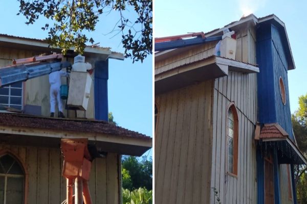 Defesa Civil é acionada para retirar abelhas na Igreja do Lago