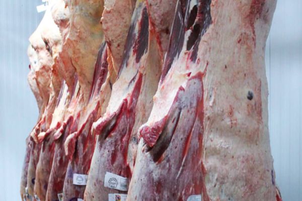 Carne Angus Certificada tem novos parceiros no Paraná