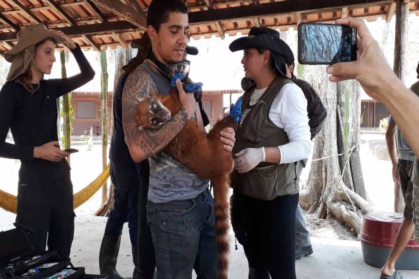 Curso capacita para atendimento a animais vítimas de desastres naturais