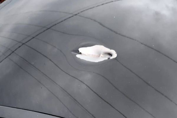 Jovem de 23 anos tem seu carro atingindo por vários disparos arma de fogo no Bairro 14 de Novembro