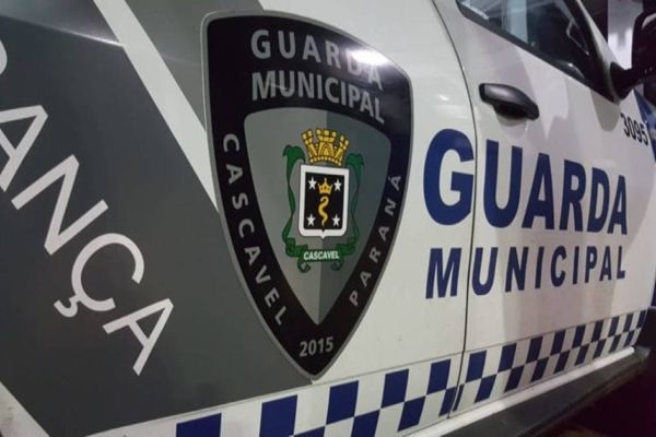 Guardas Municipais solicitam uma reunião aberta com a Comissão de Segurança e Transito da Câmara