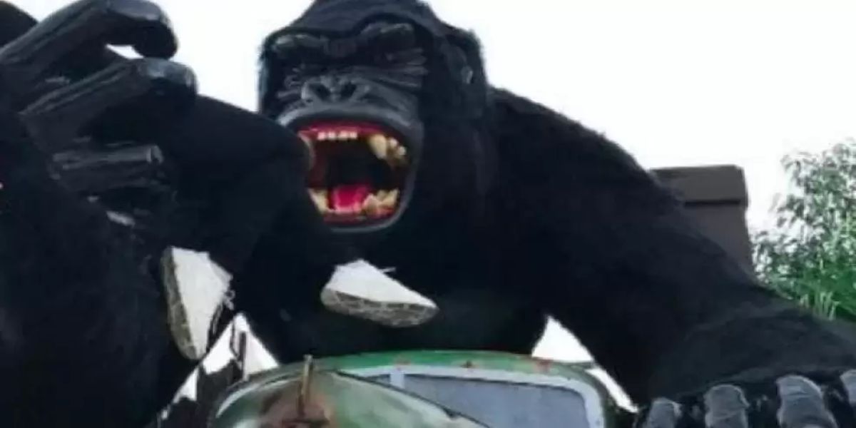 Criança de 6 anos sofre traumatismo craniano após cair de atração no Beto Carrero World