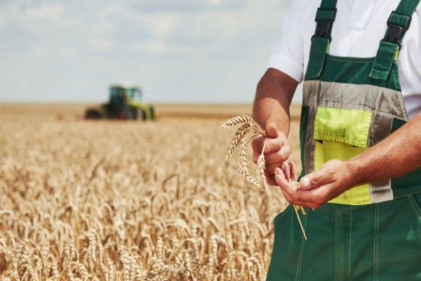 Sindicato Rural de Cascavel alerta sobre as novas regras fiscais para os produtores rurais