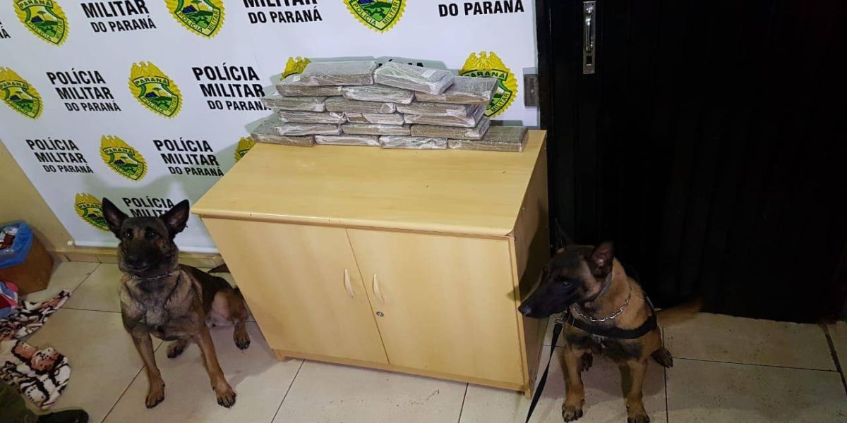 BPFRON e BOPE apreendem 12 kg de maconha em Cascavel