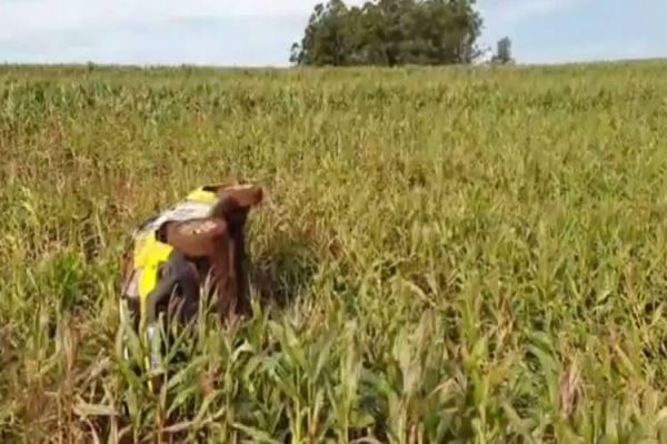 Viatura da Policia Militar capota após perseguição em Nova Aurora