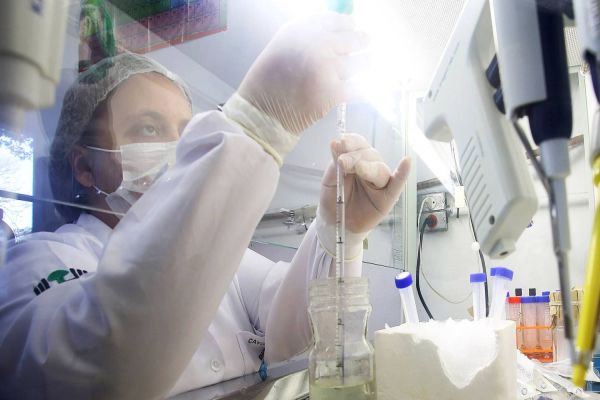 Paraná e Reino Unido reforçam cooperação em temas da saúde